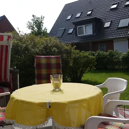 Strandlaeufer